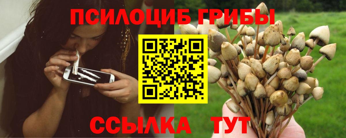 Галлюциногенные грибы MAGIC MUSHROOMS Бузулук